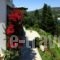 Villa Polyxeni Apartments_best prices_in_Villa_Ionian Islands_Lefkada_Sivota
