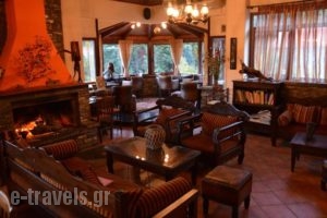Ta Petrina_best prices_in_Hotel_Central Greece_Aetoloakarnania_Nafpaktos