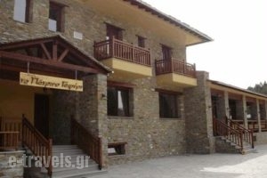 Petrino Gefiri_accommodation_in_Hotel_Macedonia_Grevena_Lavdas