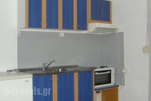 Apartments Tsiolas_best prices_in_Apartment_Macedonia_Kozani_Siatista