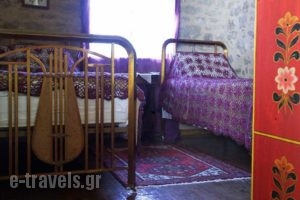 Proselinos_lowest prices_in_Hotel_Peloponesse_Arcadia_Dimitsana