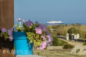 Paravatos Studios 2_best prices_in_Hotel_Cyclades Islands_Paros_Paros Rest Areas