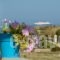 Paravatos Studios 2_best prices_in_Hotel_Cyclades Islands_Paros_Paros Rest Areas