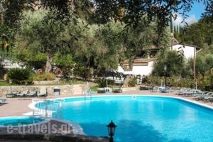 Afrodite'S Pool And Studios_holidays_in_Hotel_Ionian Islands_Corfu_Palaeokastritsa