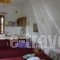 Studios Filio Sonia_best deals_Hotel_Macedonia_Halkidiki_Chalkidiki Area