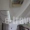 Studios Filio Sonia_best prices_in_Hotel_Macedonia_Halkidiki_Chalkidiki Area