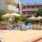 Stella Hotel_lowest prices_in_Hotel_Dodekanessos Islands_Rhodes_Pefki