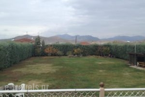 Guesthouse Egli_holidays_in_Hotel_Macedonia_Kozani_Siatista