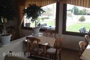 Guesthouse Egli_lowest prices_in_Hotel_Macedonia_Kozani_Siatista