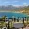 Island View Villa_accommodation_in_Villa_Aegean Islands_Thasos_Limenaria