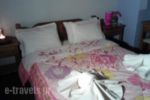 Guesthouse Rousis_lowest prices_in_Hotel_Thessaly_Magnesia_Zagora