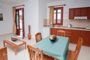 Golden Sun Apartments_best prices_in_Apartment_Dodekanessos Islands_Karpathos_Karpathos Chora