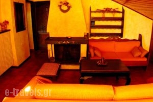 Xenonas Brizi_holidays_in_Hotel_Thessaly_Trikala_Stournareika