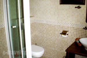 Xenonas Brizi_lowest prices_in_Hotel_Thessaly_Trikala_Stournareika