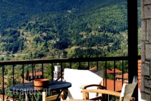 Xenonas Brizi_accommodation_in_Hotel_Thessaly_Trikala_Stournareika