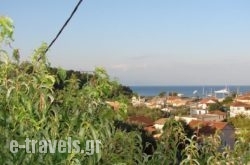 Harry’s Studios in Paxi Rest Areas, Paxi, Ionian Islands