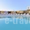 Mykonos Antheon_lowest prices_in_Hotel_Cyclades Islands_Mykonos_Mykonos ora