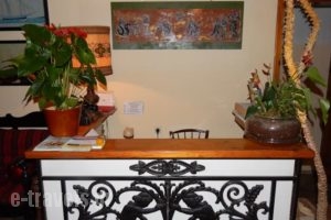 Pension Kasteli_holidays_in_Hotel_Crete_Chania_Galatas