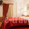 Iniohos Hotel_best prices_in_Hotel_Central Greece_Fokida_Delfi