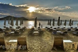 Galaxy Hotel_best deals_Hotel_Cyclades Islands_Naxos_Naxos Chora
