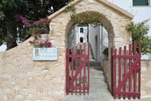 Rallis Apartments_lowest prices_in_Apartment_Cyclades Islands_Paros_Piso Livadi