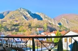 Guesthouse Lina_s __1