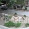 GuestHouse Iris_best deals_Hotel_Peloponesse_Lakonia_Mystras