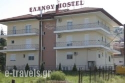 Elanthi Hostel in  Argos Orestiko , Kastoria, Macedonia