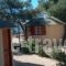 Chrissa Camping Rooms & Bungalows_lowest prices_in_Room_Central Greece_Fokida_Amfissa