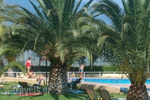 Chrissa Camping Rooms & Bungalows_holidays_in_Room_Central Greece_Fokida_Amfissa