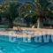 Chrissa Camping Rooms & Bungalows_accommodation_in_Room_Central Greece_Fokida_Amfissa