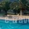 Chrissa Camping Rooms & Bungalows_accommodation_in_Room_Central Greece_Fokida_Amfissa