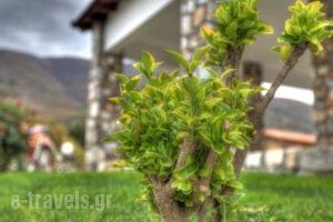 Toula Rooms_travel_packages_in_Macedonia_Serres_Agistro
