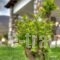 Toula Rooms_travel_packages_in_Macedonia_Serres_Agistro