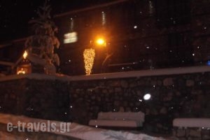 Xenonas Pantheon_holidays_in_Hotel_Macedonia_Florina_Amideo