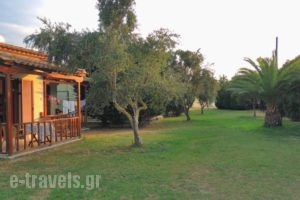 Camping Bungalows Erodios_lowest prices_in_Hotel_Thessaly_Magnesia_Pilio Area