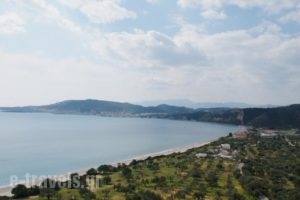 Elaionas Studios_best prices_in_Hotel_Peloponesse_Lakonia_Skoutari