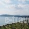 Elaionas Studios_best prices_in_Hotel_Peloponesse_Lakonia_Skoutari