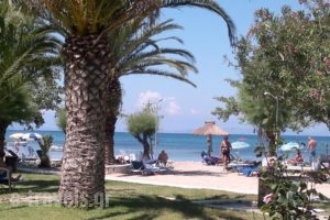 Three Stars Beach Hotel_best deals_Hotel_Ionian Islands_Corfu_Corfu Rest Areas