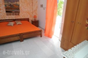 Vitzileos Studios_best prices_in_Hotel_Cyclades Islands_Naxos_Naxos chora
