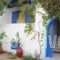 Vitzileos Studios_accommodation_in_Hotel_Cyclades Islands_Naxos_Naxos chora