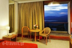 Amalia Hotel Delphi_holidays_in_Hotel_Central Greece_Fokida_Delfi