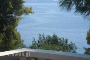 Maria Studios_holidays_in_Hotel_Sporades Islands_Alonnisos_Patitiri