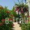 Evdokia Apartments_best deals_Apartment_Crete_Heraklion_Gournes