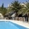 Albatross Hotel_best prices_in_Hotel_Cyclades Islands_Paros_Piso Livadi