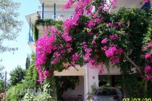Gianna Studios_accommodation_in_Hotel_Ionian Islands_Lefkada_Perigiali