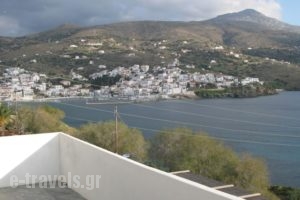 Nora Norita_accommodation_in_Hotel_Cyclades Islands_Andros_Andros City