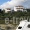 Nora Norita_lowest prices_in_Hotel_Cyclades Islands_Andros_Andros City