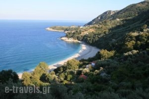 Papa Nero Studios And Apartments_holidays_in_Apartment_Thessaly_Magnesia_Mouresi