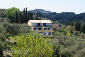 Villa Bouka_accommodation_in_Villa_Ionian Islands_Corfu_Afionas